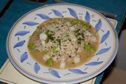 Sea_Scallop and fava bean rissotto