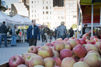 Apples in The Big Apple
