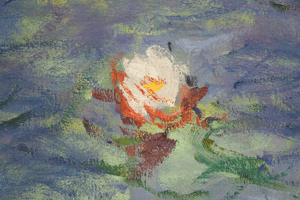 Monet's water lilies