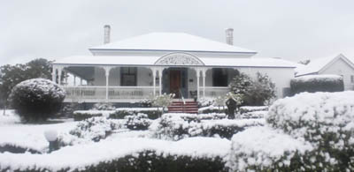 Beverley in the snow